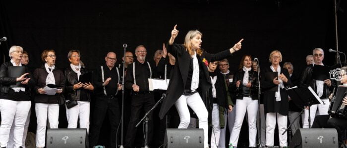 Festival aan de Hoornse Haven