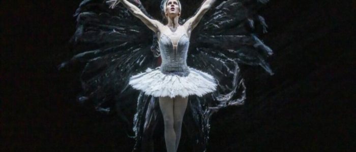 The Royal Ballet: Het Zwanenmeer