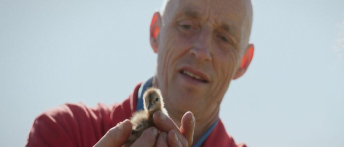 Vogels Kun Je Niet Melken – Voorpremière
