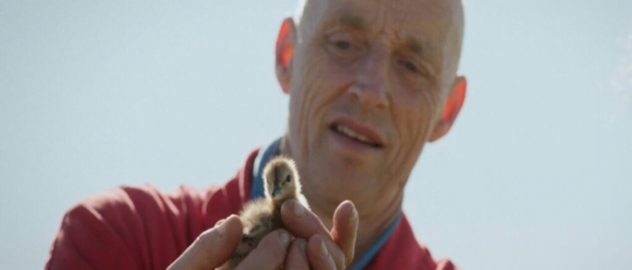 Vogels Kun Je Niet Melken