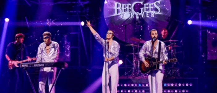 Bee Gees by Maincourse