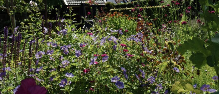 Tuin en Kunst