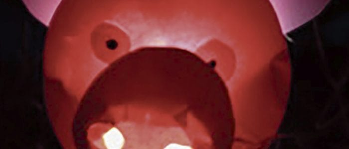 Boerderijdierlampion maken