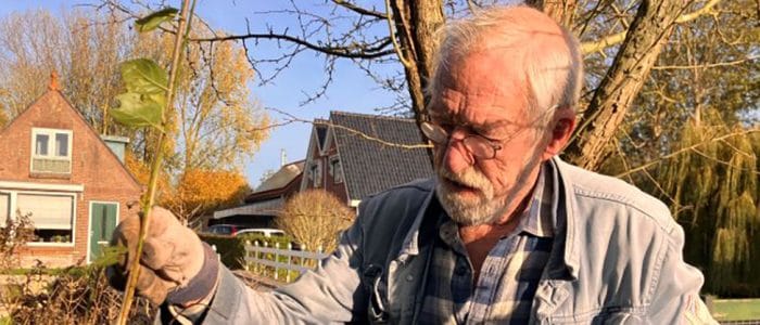 Erfgoed terug in Risdam-Noord