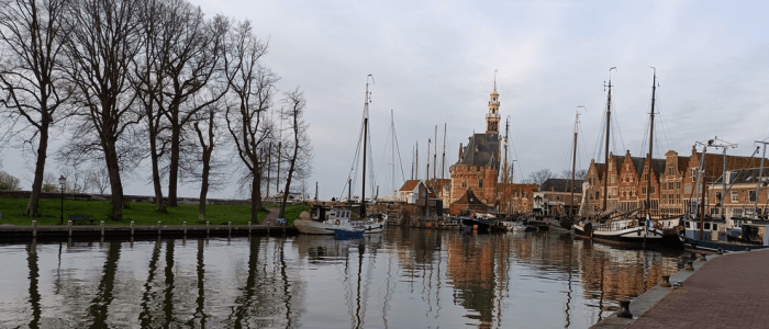 Hoorn bij het ochtendgloren: dauwtrappen