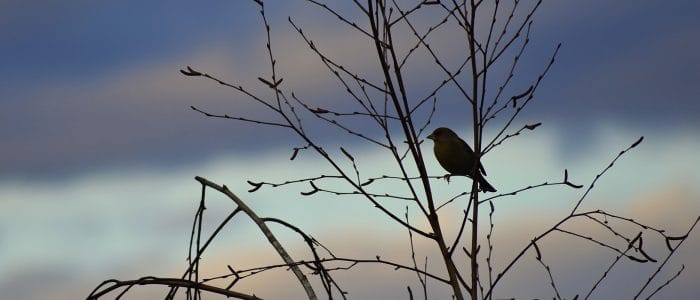 Inspirerende meivakantie